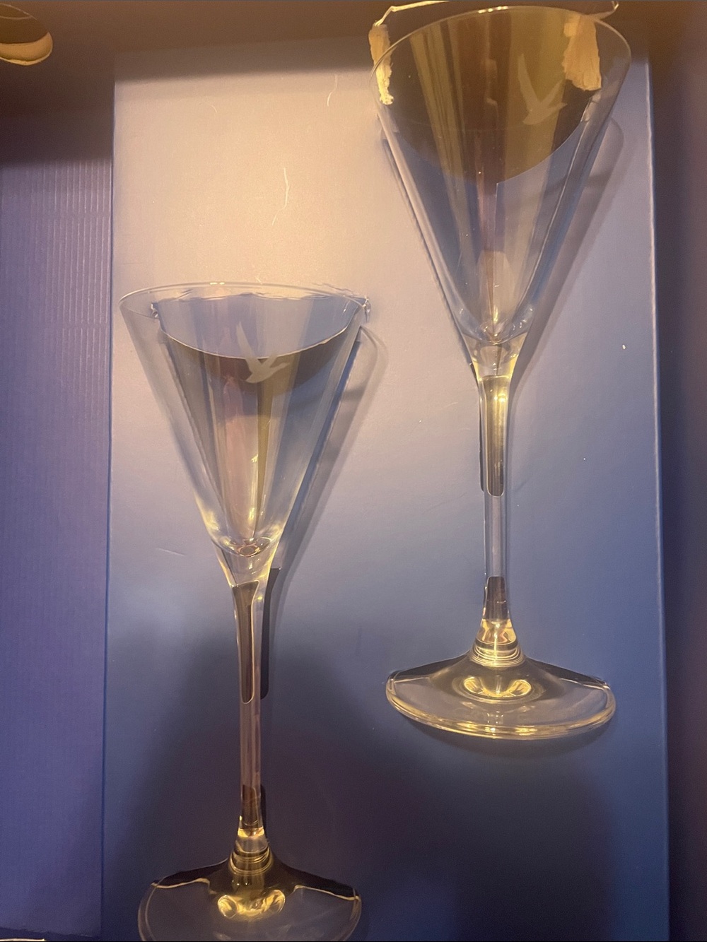 Clear Martini Glasses - Set of 2